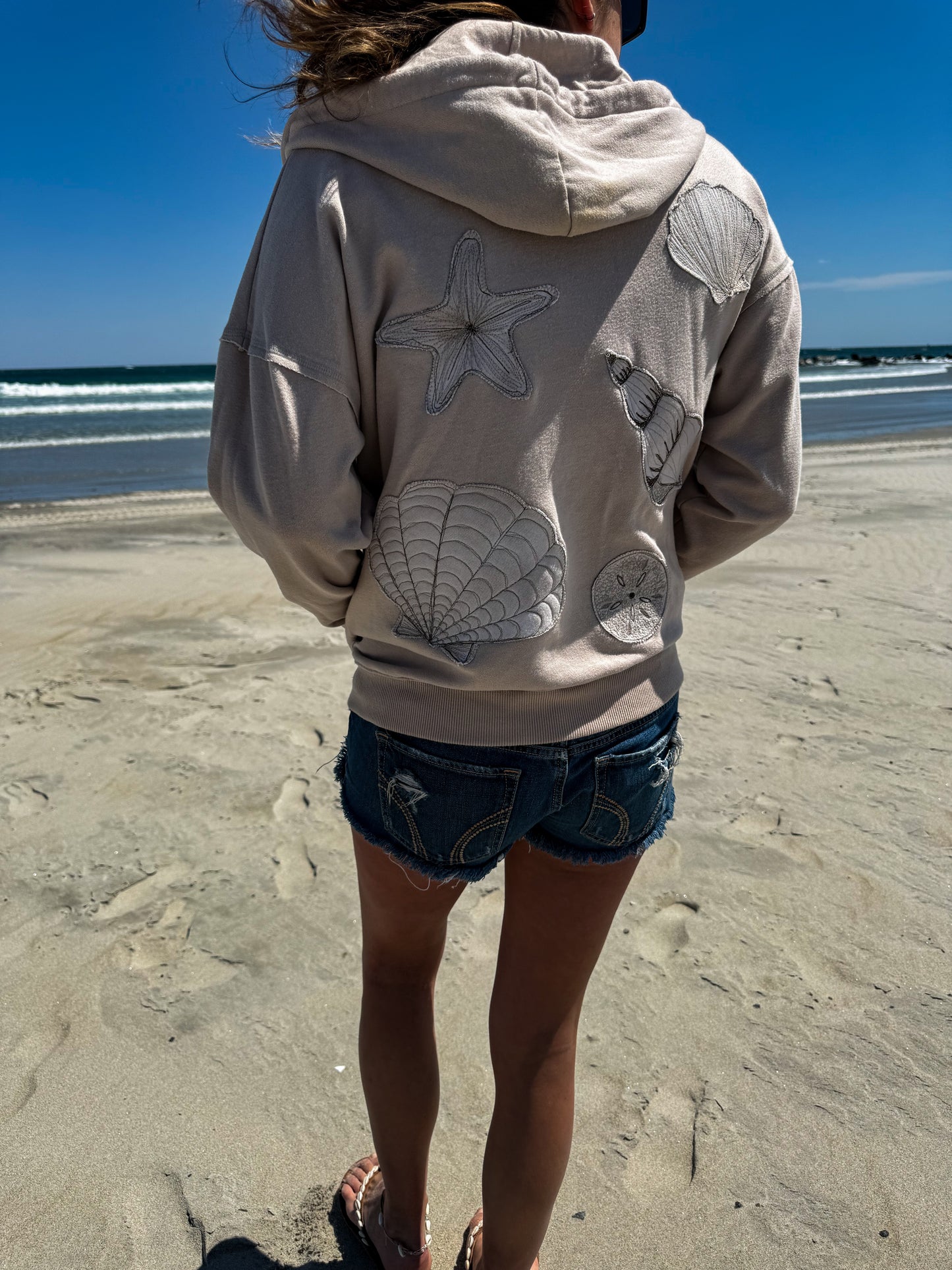 Sand Dollar Hoodie