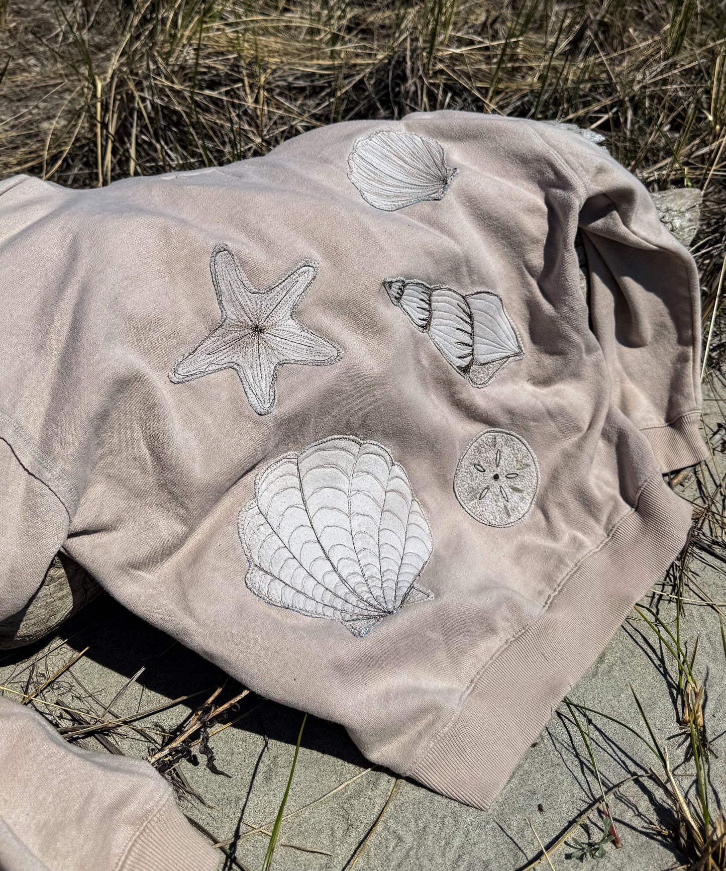 Sand Dollar Hoodie